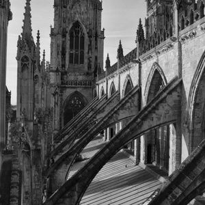 Meet your Posher, Doshia